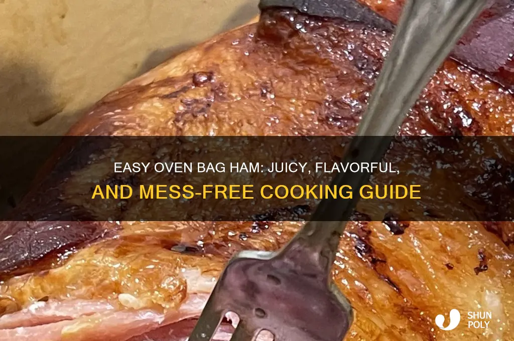 how to cook a ham in a plastic bag