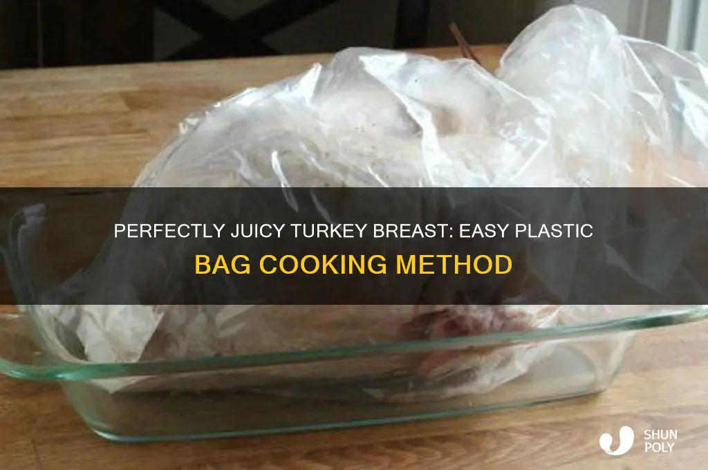 how to cook a turkey breast in a plastic bag