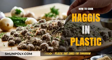 The Perfect Haggis: Plastic-Wrapped, Tasty, and Easy!