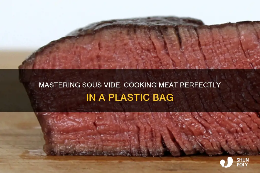 how to cook meat in a plastic bag