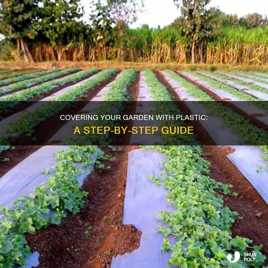 how to cover garden with plastic