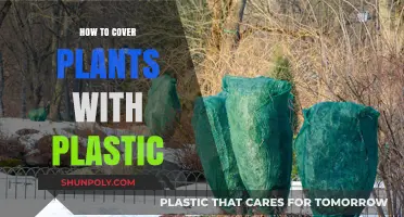 Protecting Plants: Plastic Sheeting Techniques and Benefits