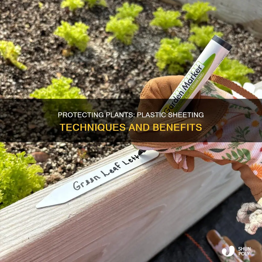how to cover plants with plastic