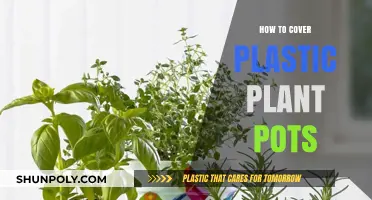 Creative Ways to Disguise Plastic Plant Pots