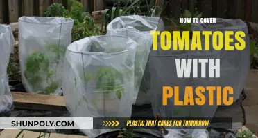 Covering Tomatoes: Using Plastic the Right Way