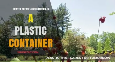 Creating a Bog Garden in a Plastic Container