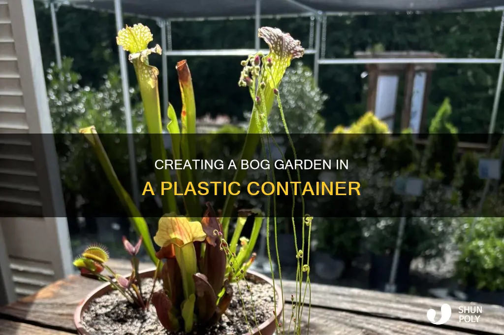 how to create a bog garden in a plastic container