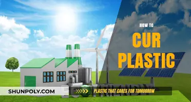 Eco-Friendly Solutions: How to Curb Plastic Waste in Your Daily Life