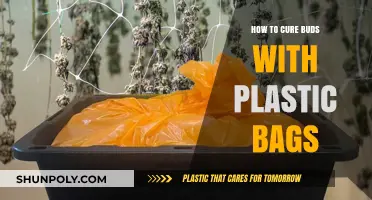 Mastering Bud Curing: Simple Plastic Bag Technique for Perfect Results