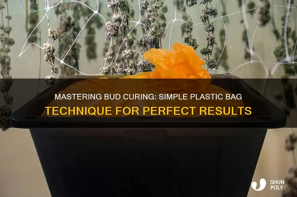 how to cure buds with plastic bags