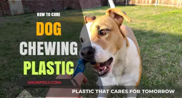 Stop Your Dog Chewing Plastic: Safe and Easy Solutions