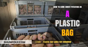 Curing Sweet Potatoes: Simple Plastic Bag Method for Longer Storage