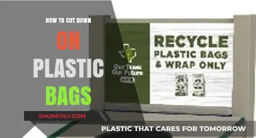 Eco-Friendly Tips: Reducing Plastic Bag Use in Daily Life