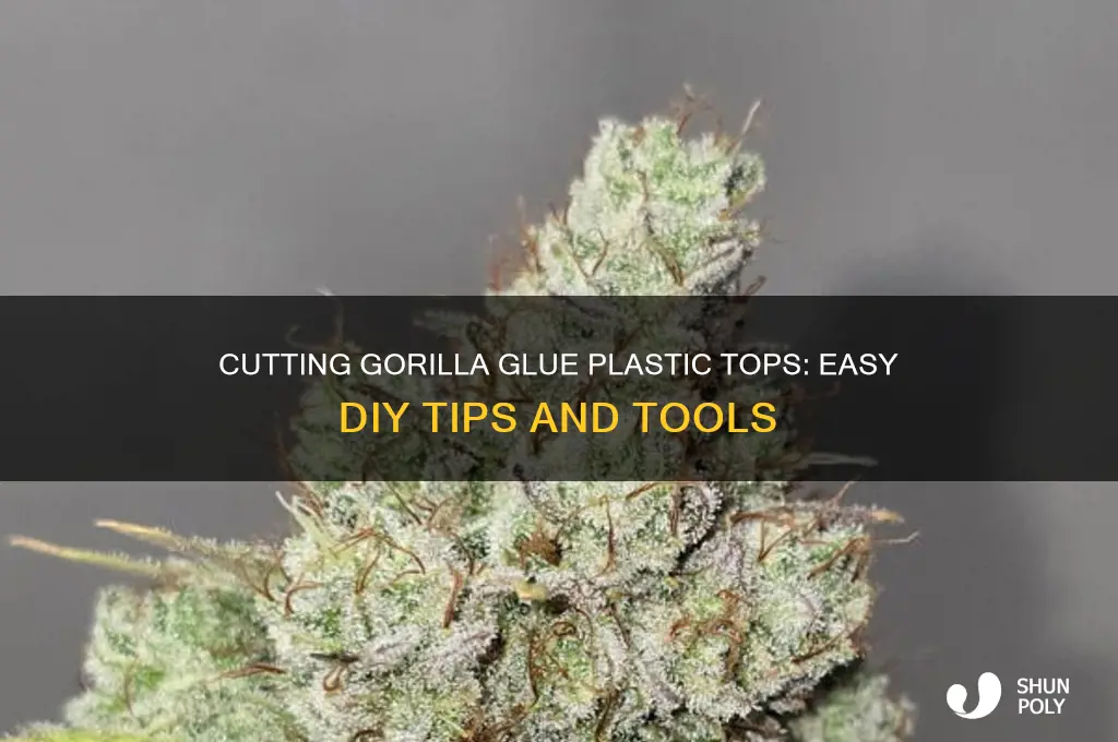 how to cut hard plastic top of gorila glue