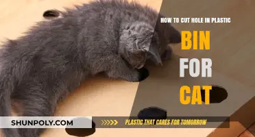 DIY Cat Access: Cutting a Hole in Your Plastic Bin Easily