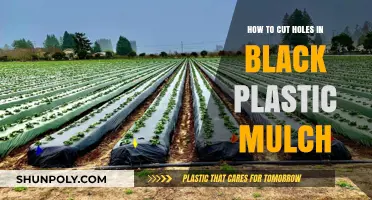 Mastering Hole Cutting in Black Plastic Mulch: A Step-by-Step Guide