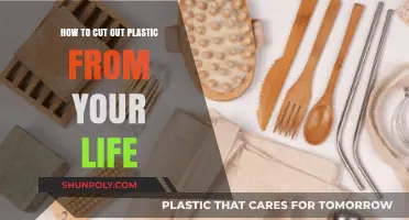 Sustainable Living: Simple Steps to Eliminate Plastic from Your Daily Routine