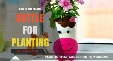 Creative Planting Ideas: Cutting Plastic Bottles for Eco-Friendly Gardens