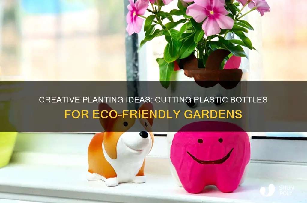 how to cut plastic bottle for planting