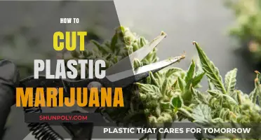 Safe and Effective Techniques for Cutting Plastic Marijuana at Home