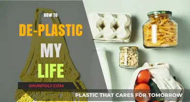 Liberating My Life from Plastic's Grasp