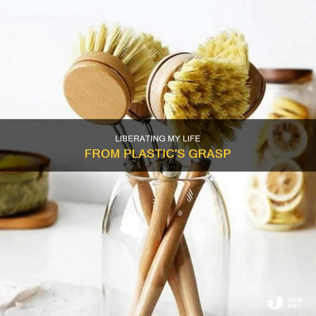 how to de-plastic my life