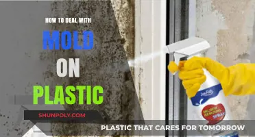 Eradicating Mold from Plastic: A Step-by-Step Guide
