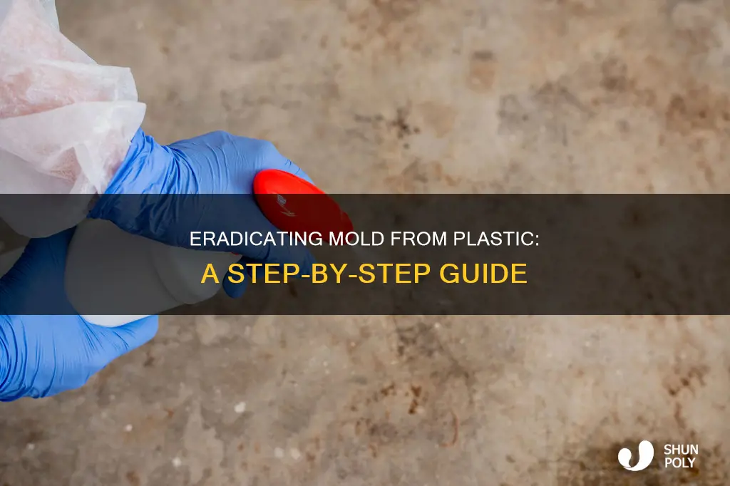 how to deal with mold on plastic