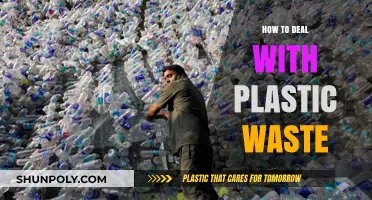 Reducing Plastic Waste: Strategies for a Greener Tomorrow