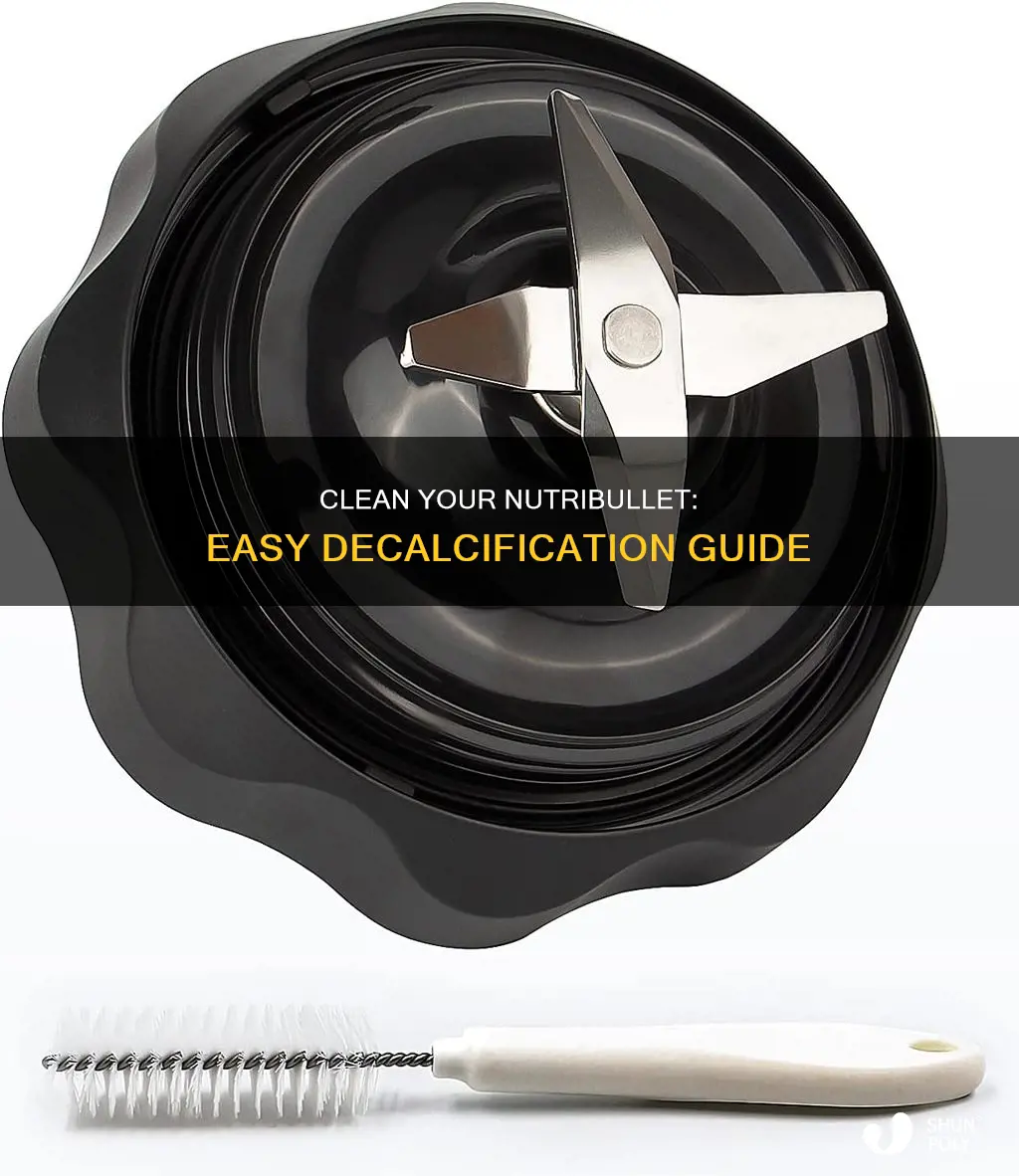 how to decalcify nutribullet plastic bullet