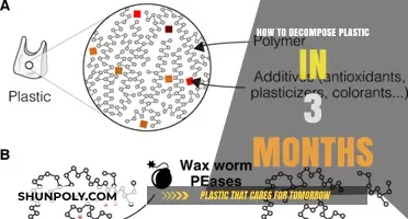 Decomposing Plastics: A Faster, Eco-Friendly Way