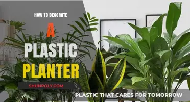 Creative Ways to Decorate Your Plastic Planters