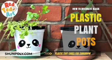 Black Plant Pot Makeover: Creative Decor Ideas