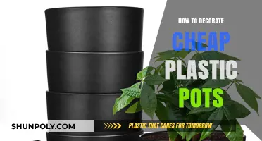Creative Ways to Decorate Cheap Plastic Pots