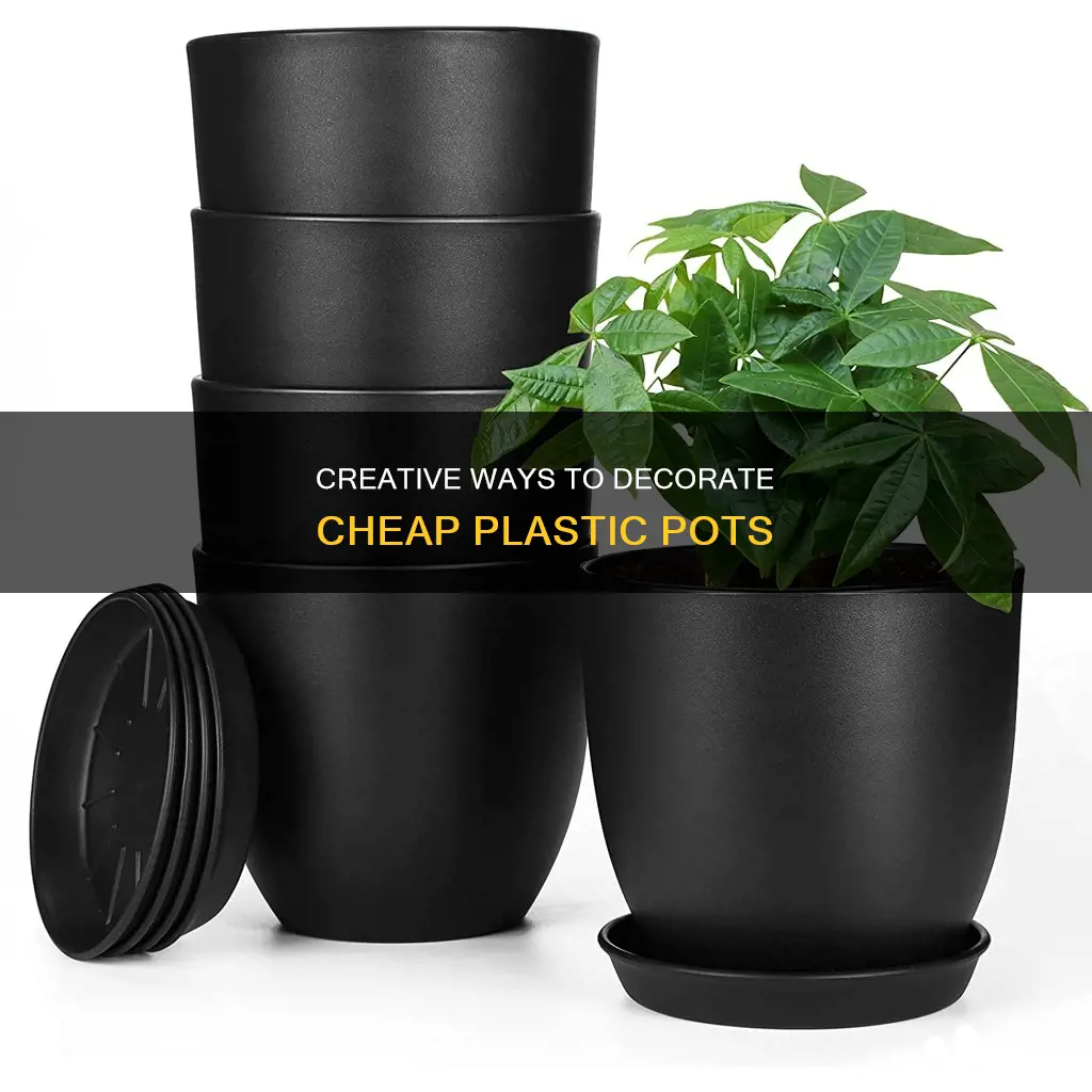 how to decorate cheap plastic pots