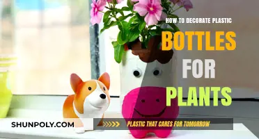 Creative Ways to Decorate Plastic Bottles for Planters