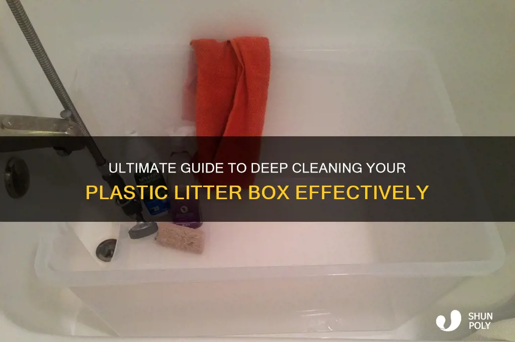 how to deep clean plastic litter box