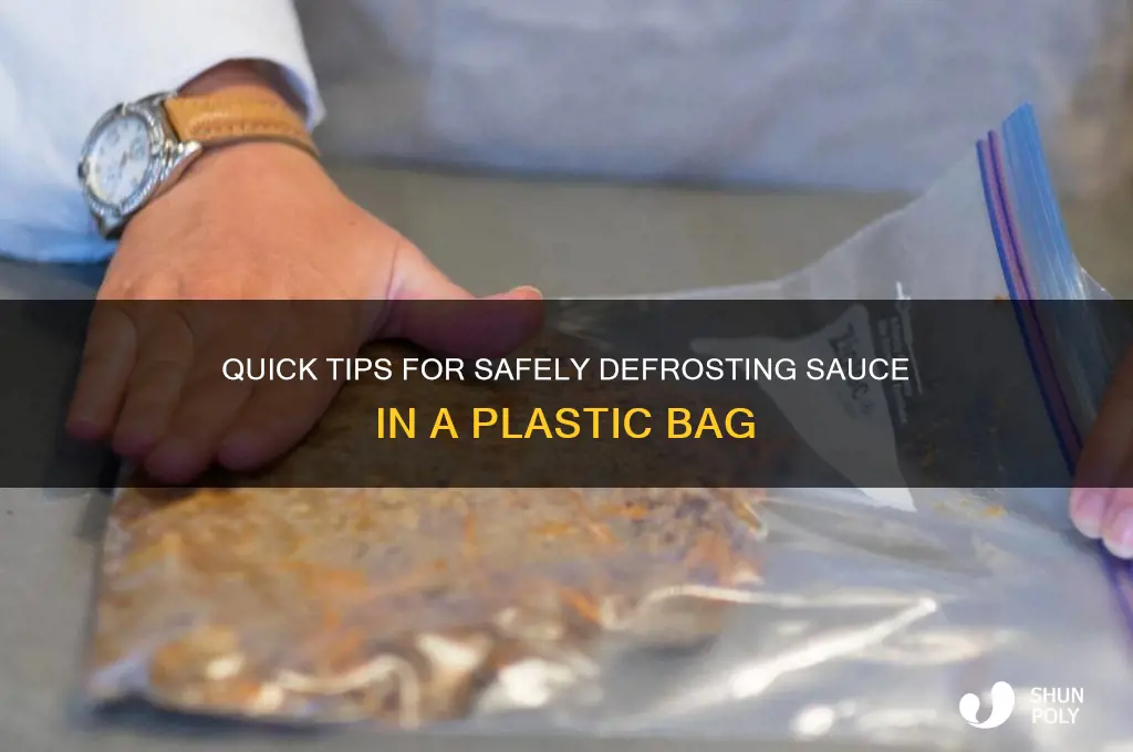 how to defrost sauce in plastic bag