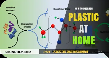 Degrade Plastic at Home: Easy and Eco-Friendly Methods
