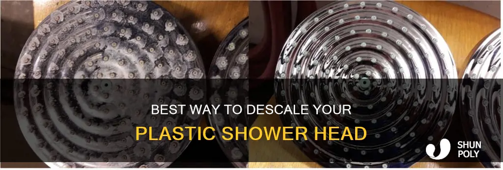 how to descale a plastic shower head