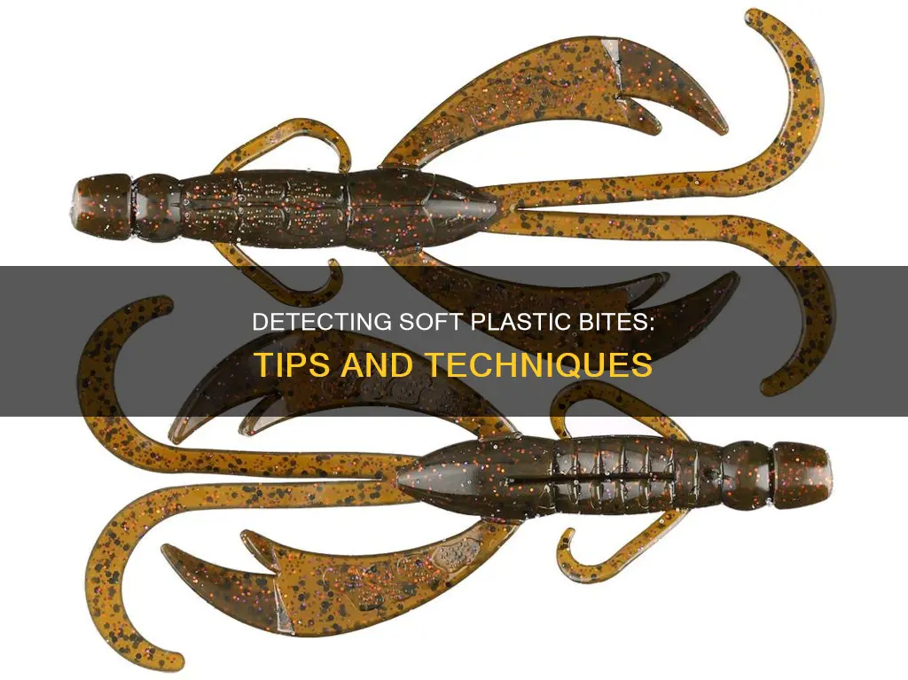 how to detect bites on soft plastics