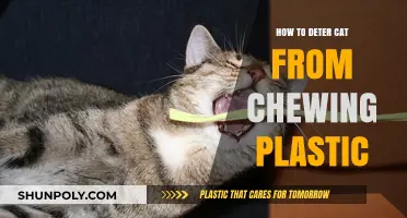 Stop Cats Chewing Plastic: Safe and Effective Methods