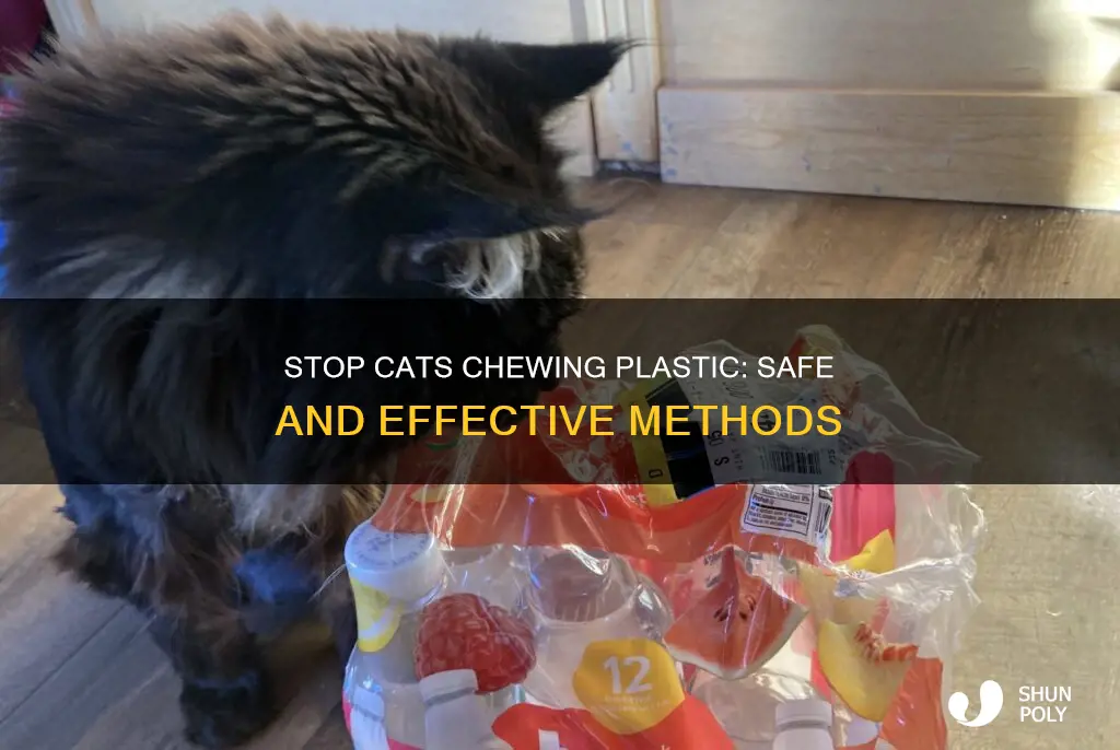 how to deter cat from chewing plastic