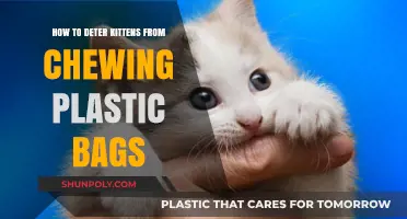 Prevent Kitten Chewing: Safe Tips to Protect Plastic Bags