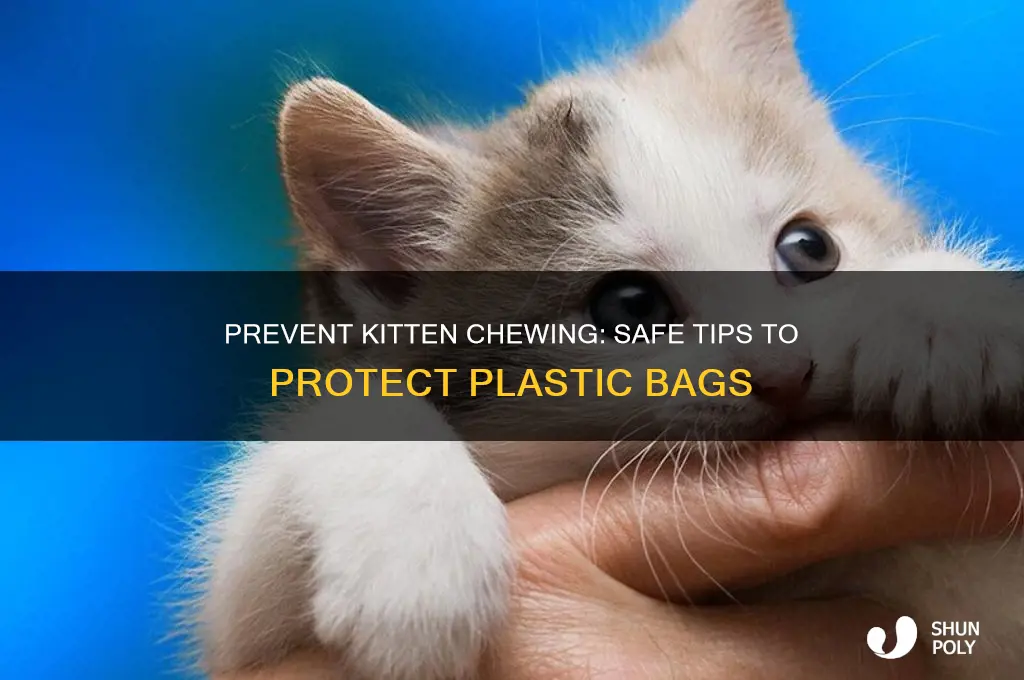 how to deter kittens from chewing plastic bags