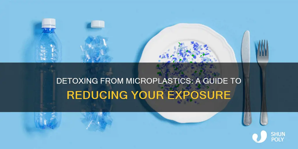 how to detox from micro plastics