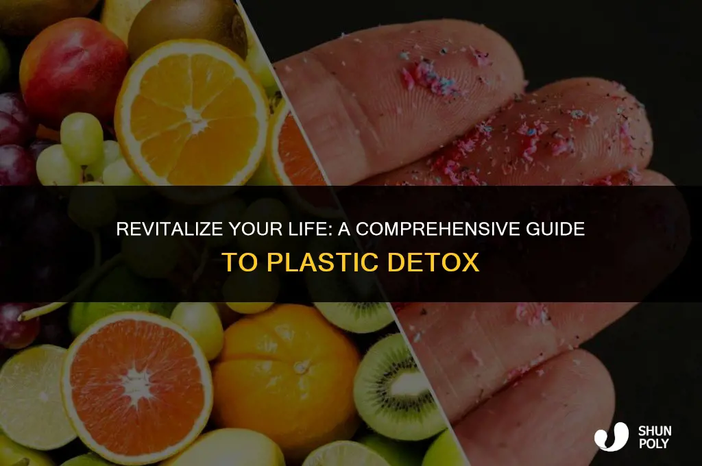 how to detox from plastics