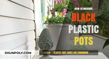 Creative Ways to Disguise Black Plastic Pots