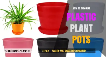 Creative Ways to Disguise Plastic Plant Pots