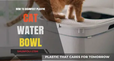 Sanitizing Your Cat's Plastic Water Bowl: A Step-by-Step Guide